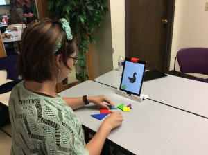 Osmo in use